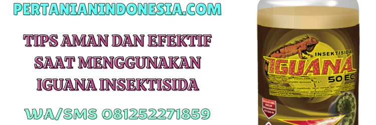 tips,aman,efektif,pengaplikasian,penggunaan,pertanian indonesia